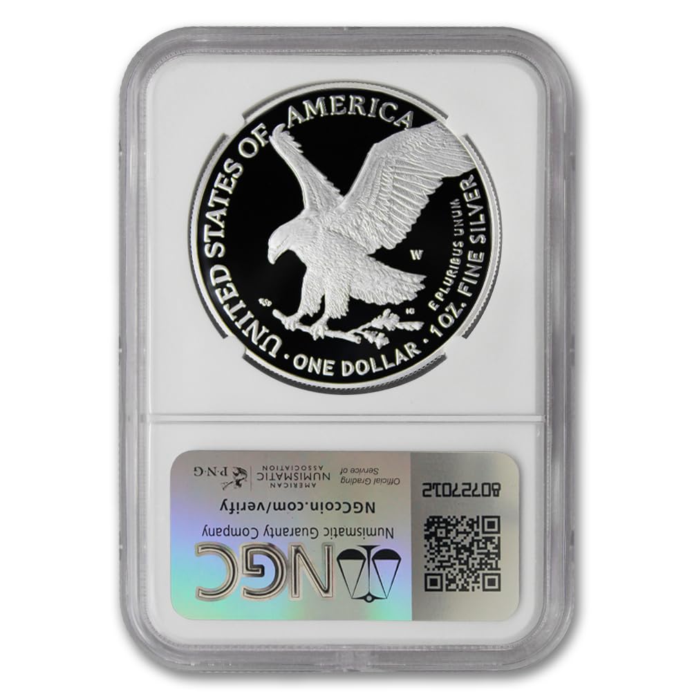 1 oz American Silver Eagle Coin T656
