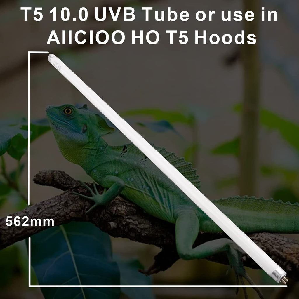 T5 HO 10.0 UVB Fluorescent Lamp 22" 24W Q214