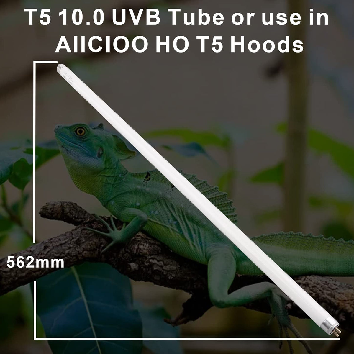 T5 HO 10.0 UVB Fluorescent Lamp 22" 24W Q214