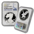 1 oz American Silver Eagle Coin T656