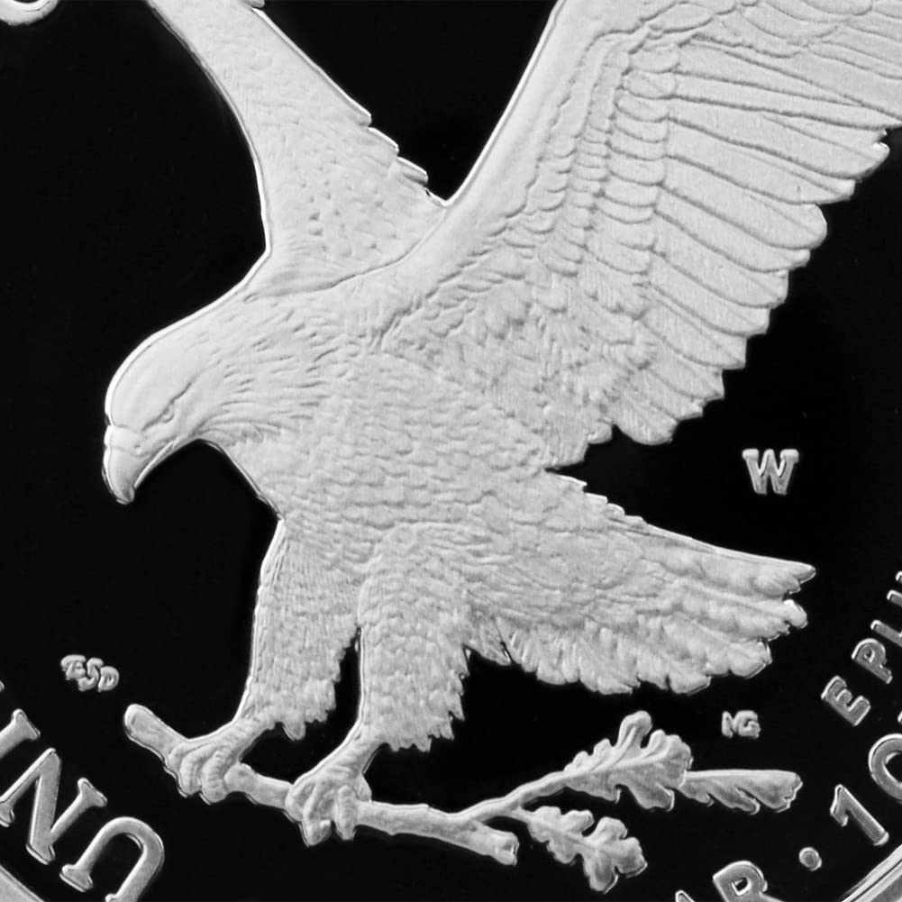 1 oz American Silver Eagle Coin T656