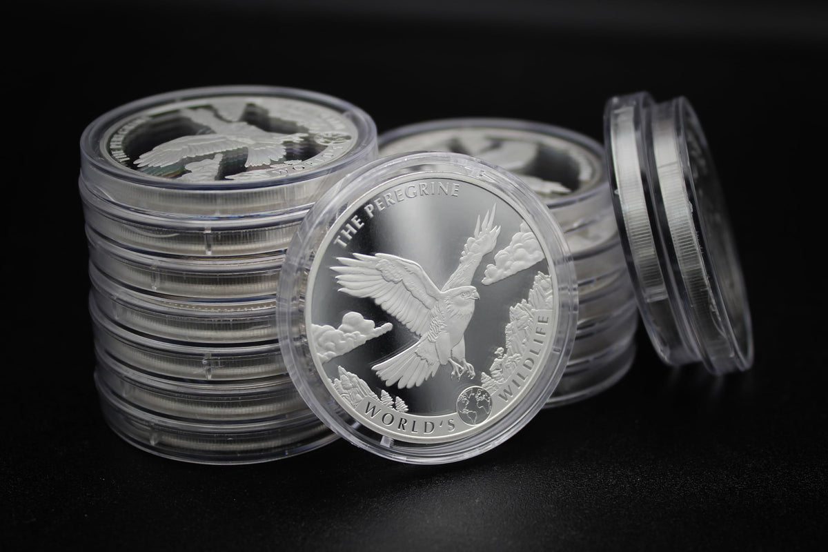 1 oz Silver Coin T720