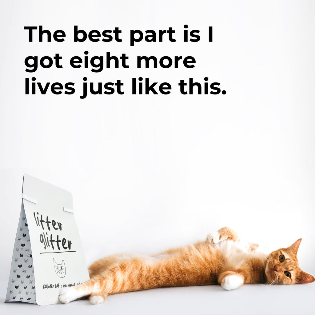 Cat Litter Booster X7759