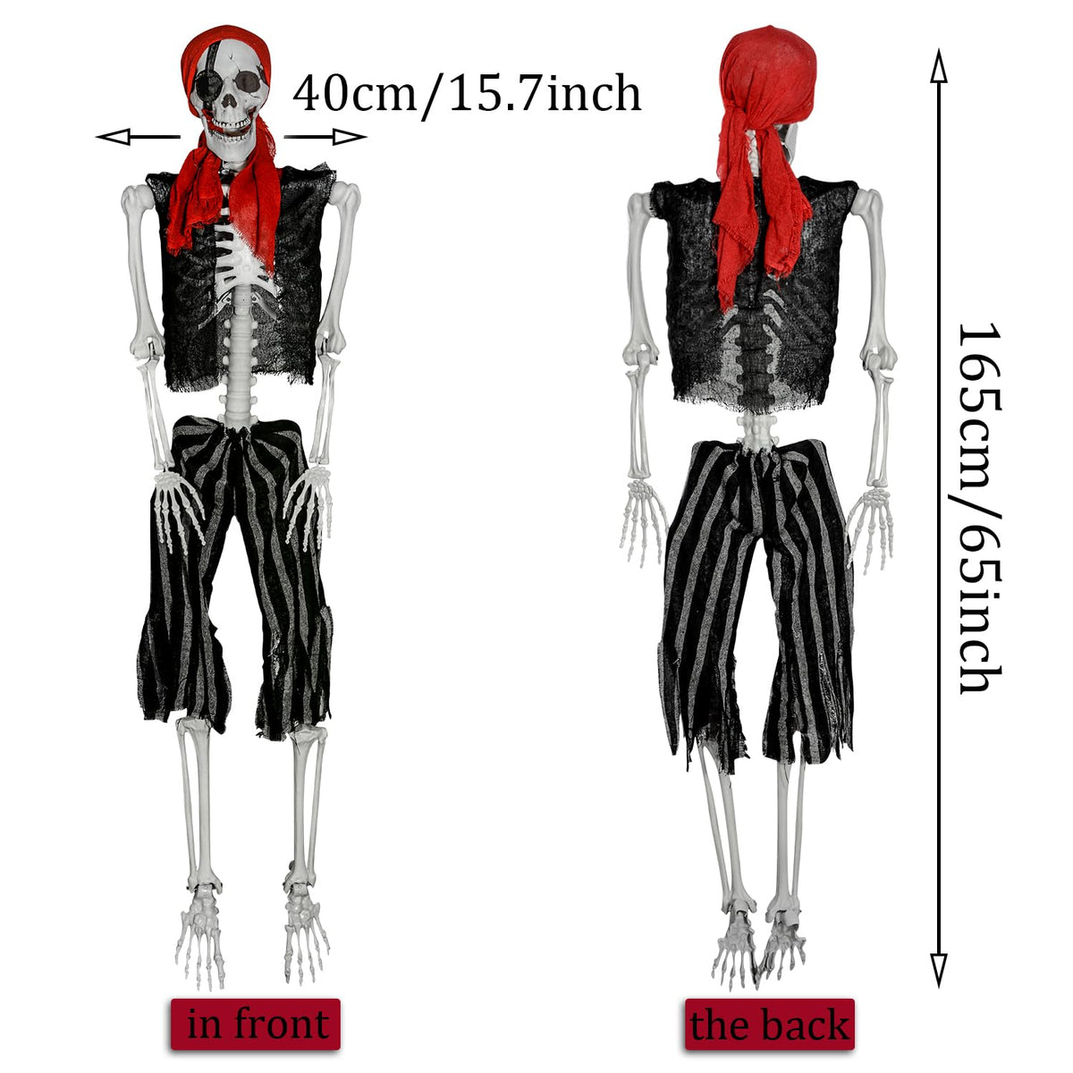 Life Size Pirate Skeleton with Movable Joints Z738