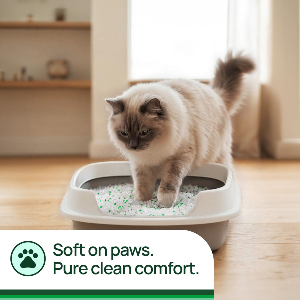 Unscented Non-Clumping Crystal Cat Litter, 7 lb M29634