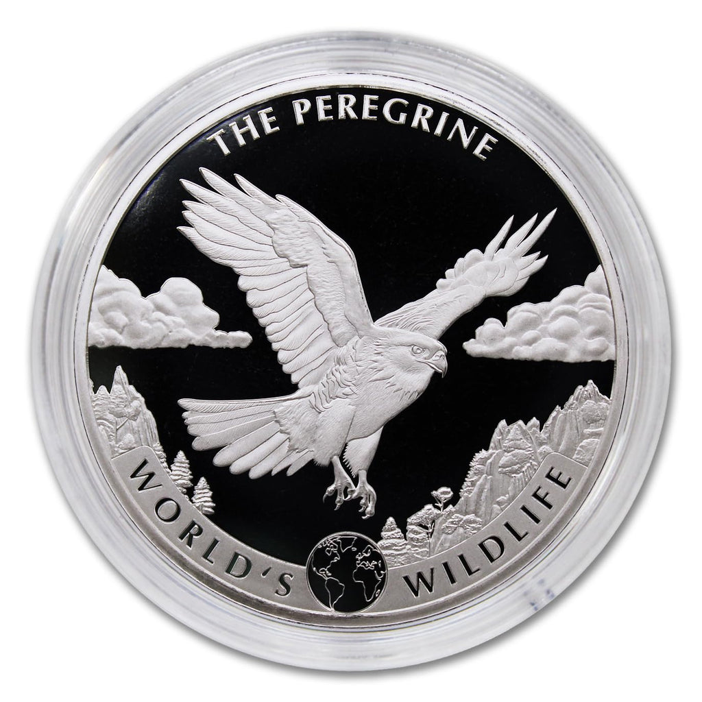 1 oz Silver Coin T720