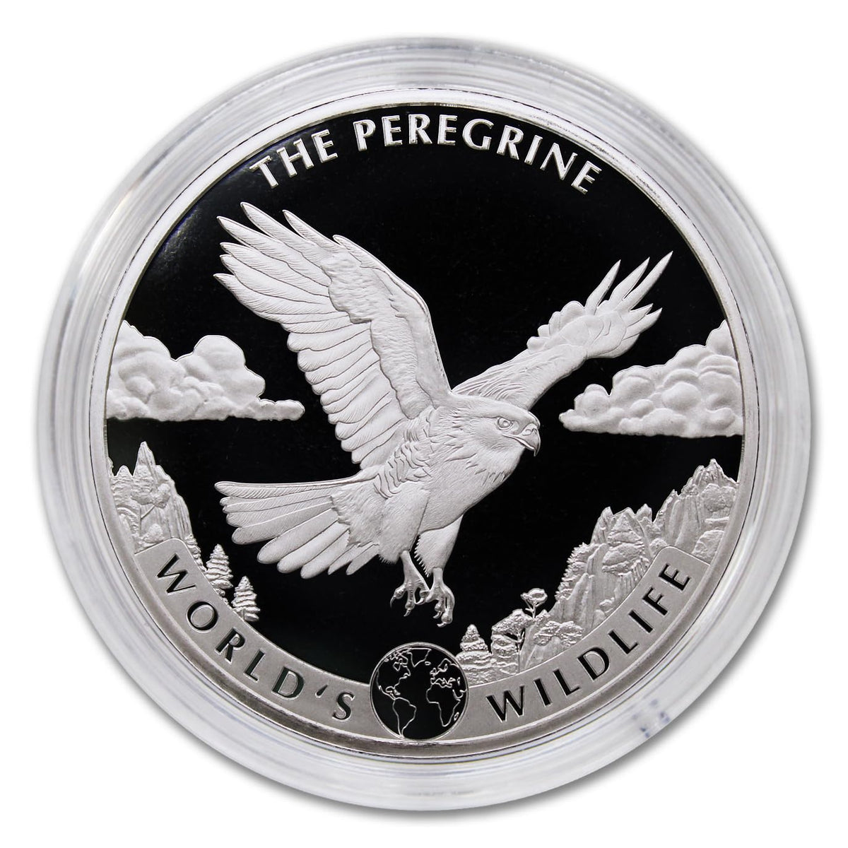 1 oz Silver Coin T720