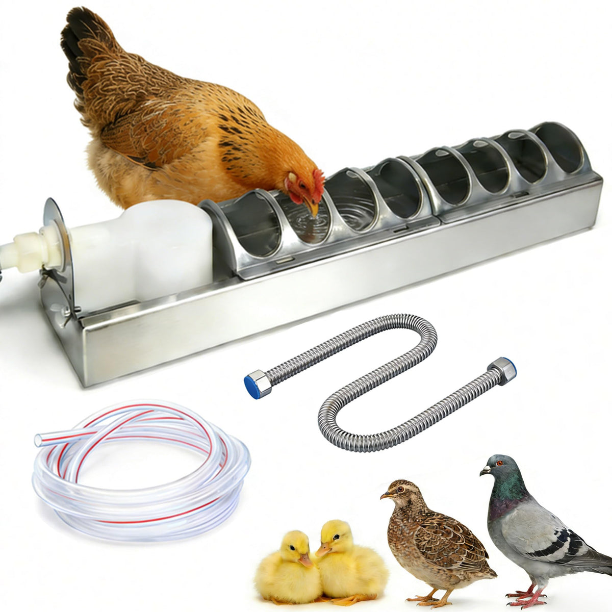 Automatic Stainless Steel Poultry Waterer M89031