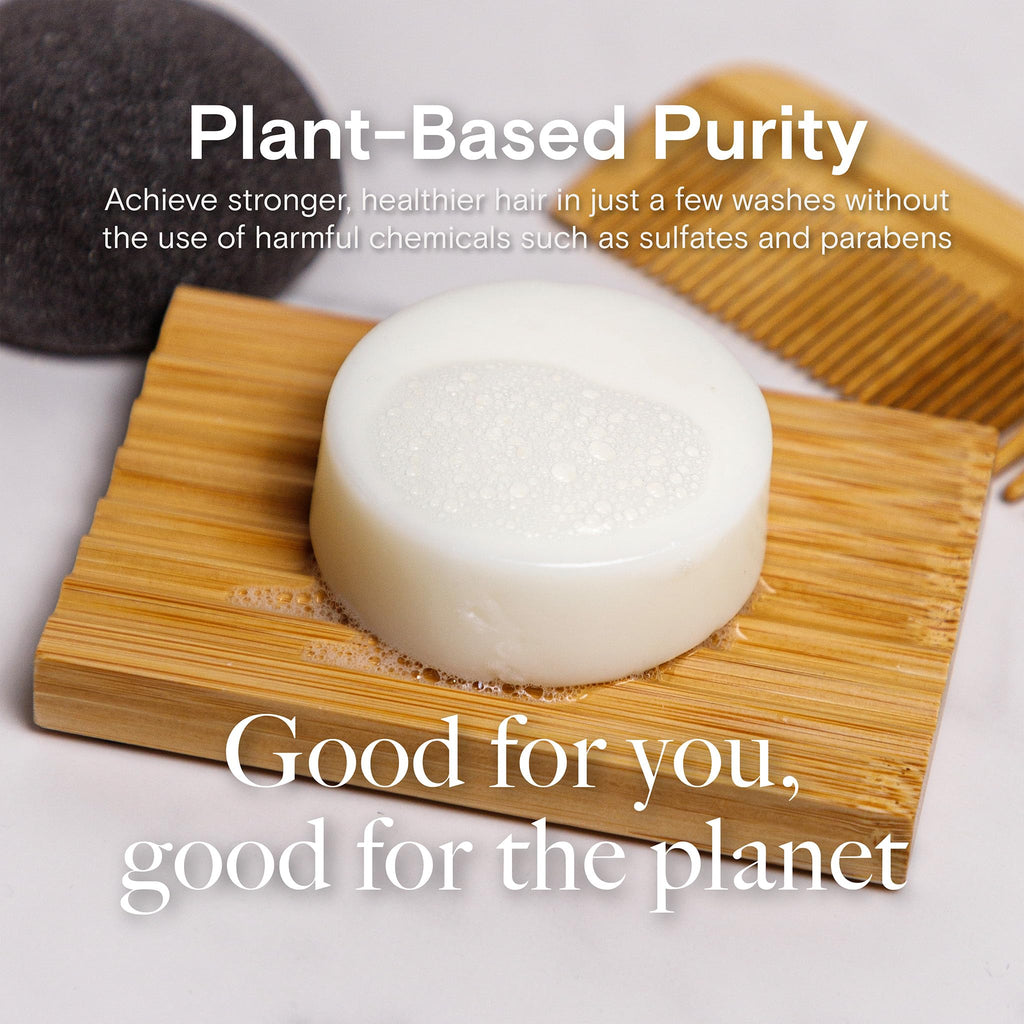 Bamboo Coconut Shampoo and Conditioner Bar Set S43319