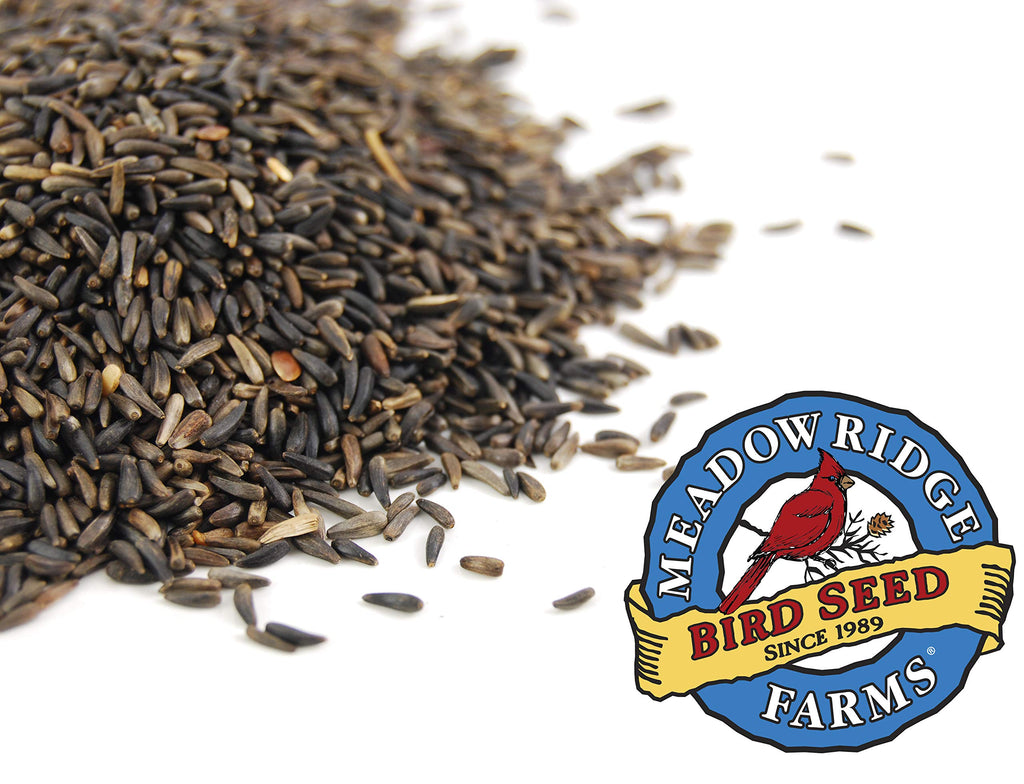 Nyjer Thistle Bird Seed 20-Pound Bag X227356