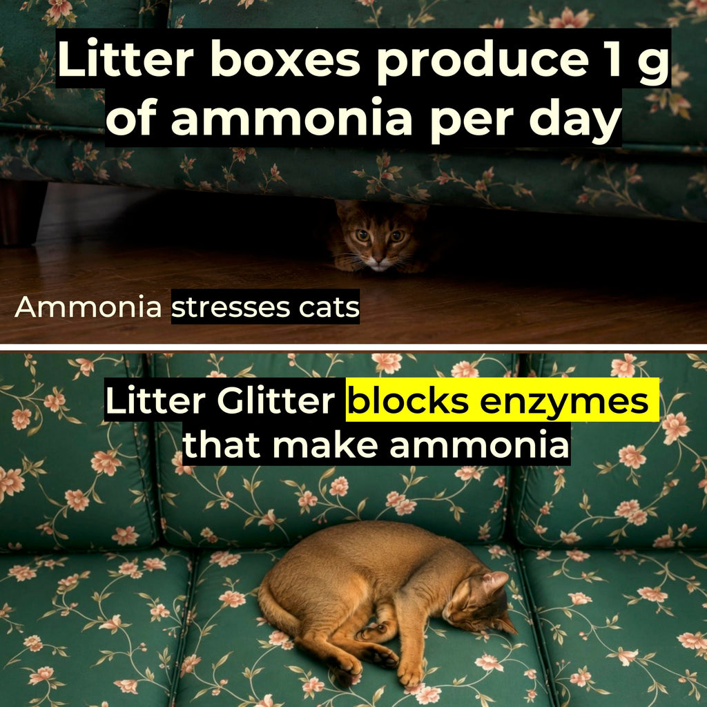 Cat Litter Booster X7759