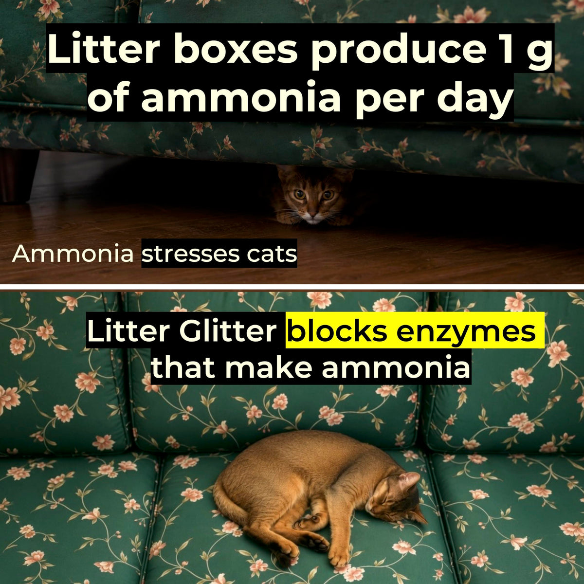 Cat Litter Booster X7759