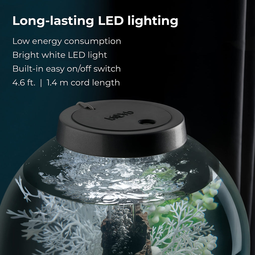 15 Acrylic Aquarium with White LED Lights D1982