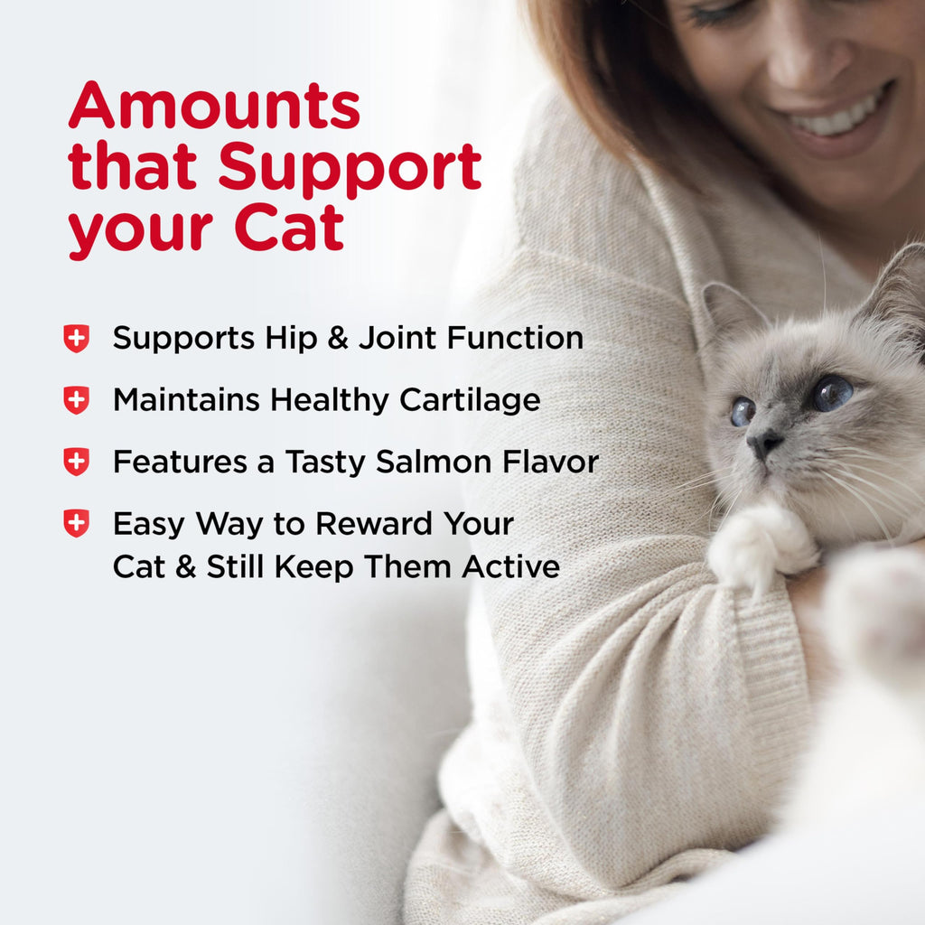 Cat Hip & Joint Supplement Glucosamine 3oz M518879