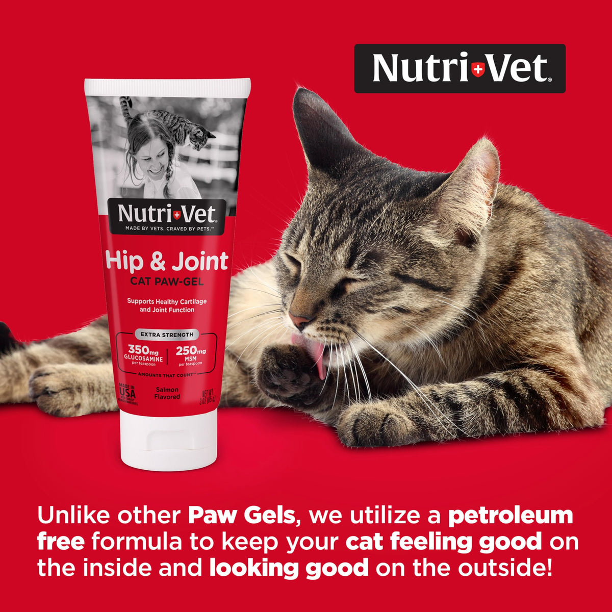 Cat Hip & Joint Supplement Glucosamine 3oz M518879