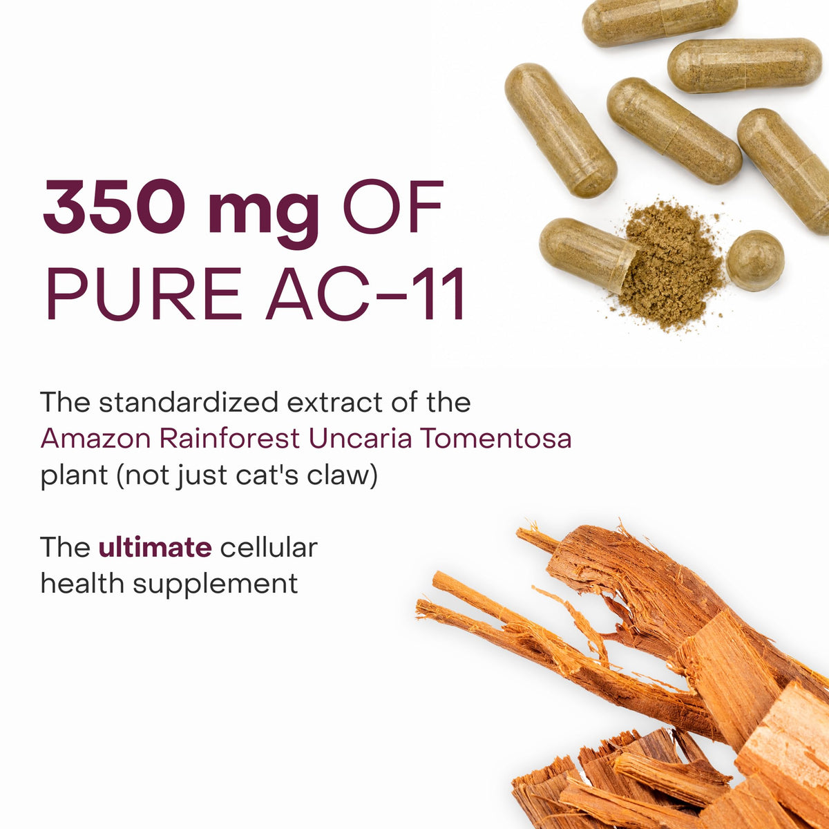 Telomere Length Supplement V330