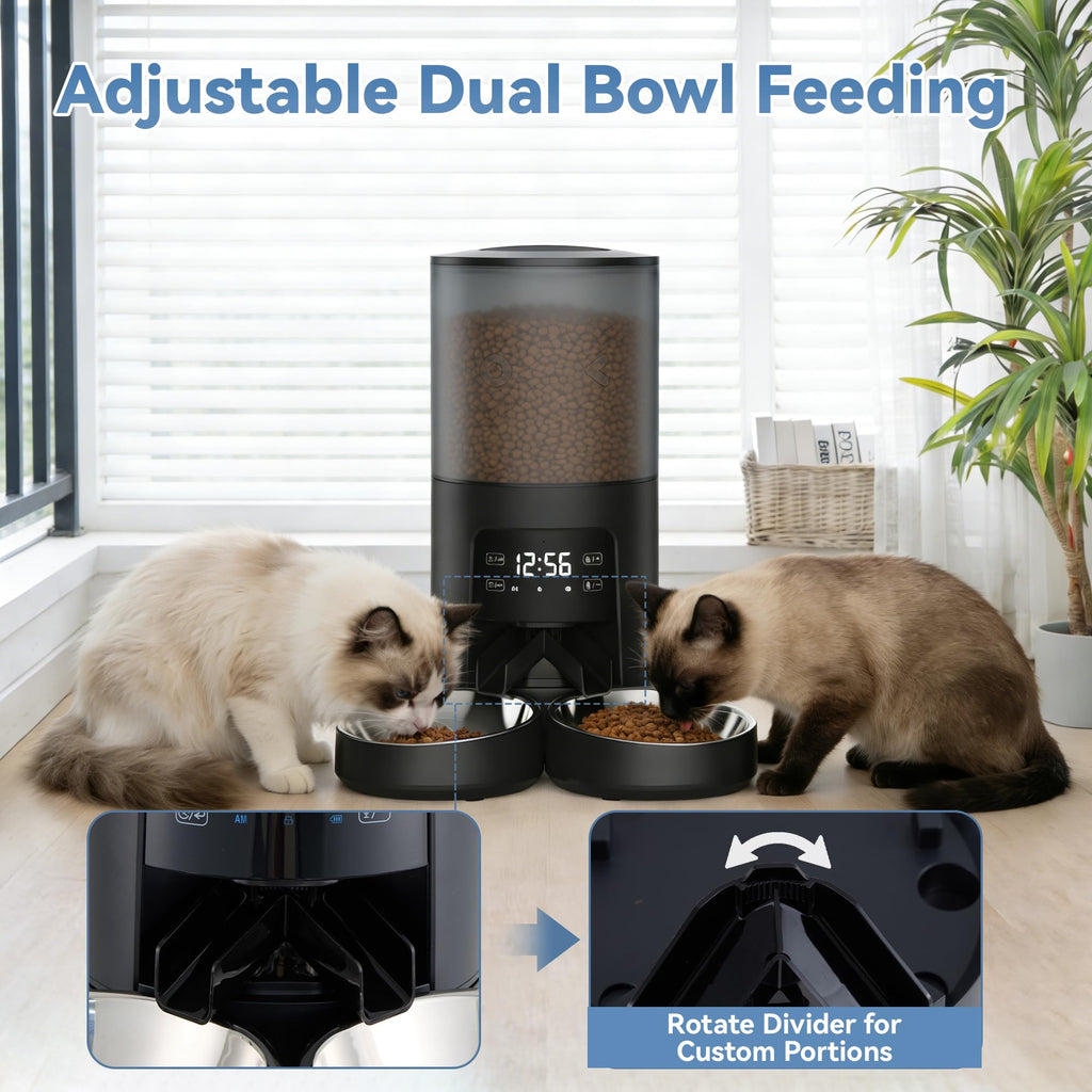 Automatic Cat Feeder for 2 Cats, 6L Black Y426