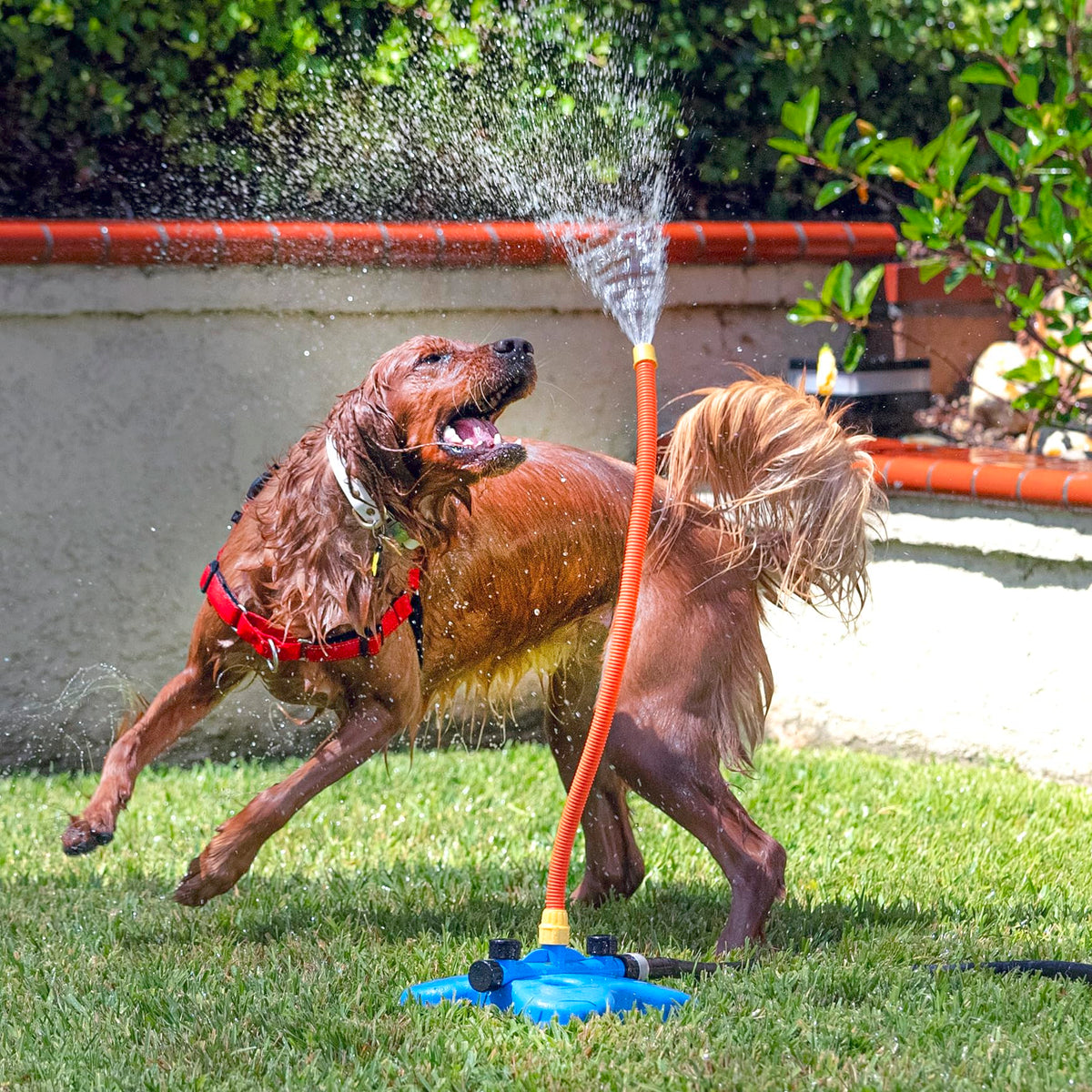 Interactive Water Toy for Dogs E959247