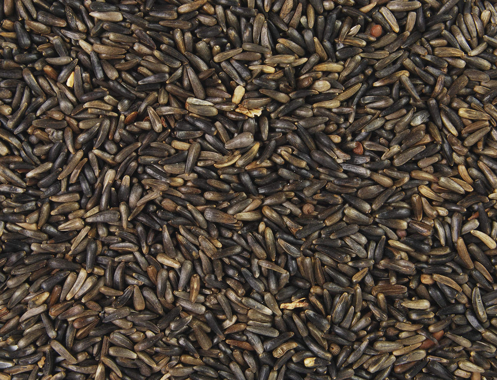 Nyjer Thistle Bird Seed 20-Pound Bag X227356
