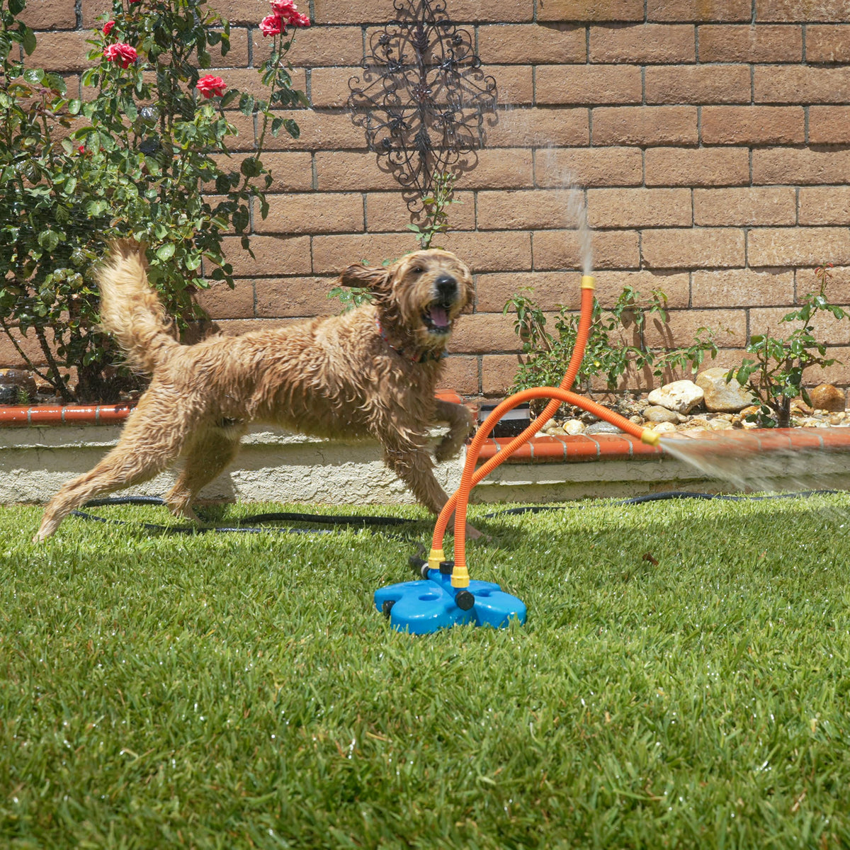 Interactive Water Toy for Dogs E959247